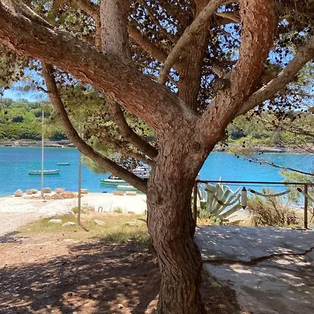 Joka Банджоле